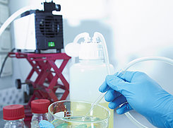 Las bombas de laboratorio KNF son ideales para aplicaciones de destilación gracias a su excelente compatibilidad química.