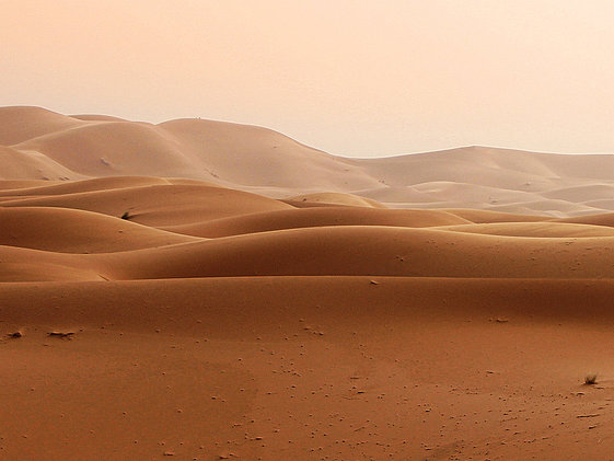 KNF air sampling pumps help tracking non-human particulate matter air pollution. KNF air sampling pumps help tracking non-human particulate matter air pollution.