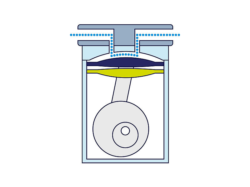 In a safety diaphragm pump, a working diaphragm (dark blue) and a safety diaphragm (green) are mounted in the pump head which creates a safety chamber between both membranes.