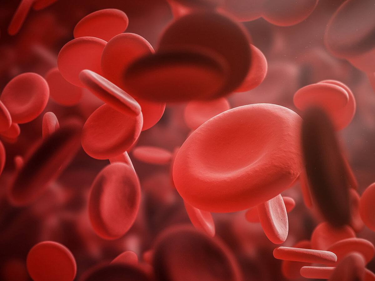 Rendered image of red blood cells in a blood vessel.
